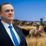 זעם בגבעות נגד כ"ץ: "לא צריך פרוייקטור, תעצור את ההתנכלות"