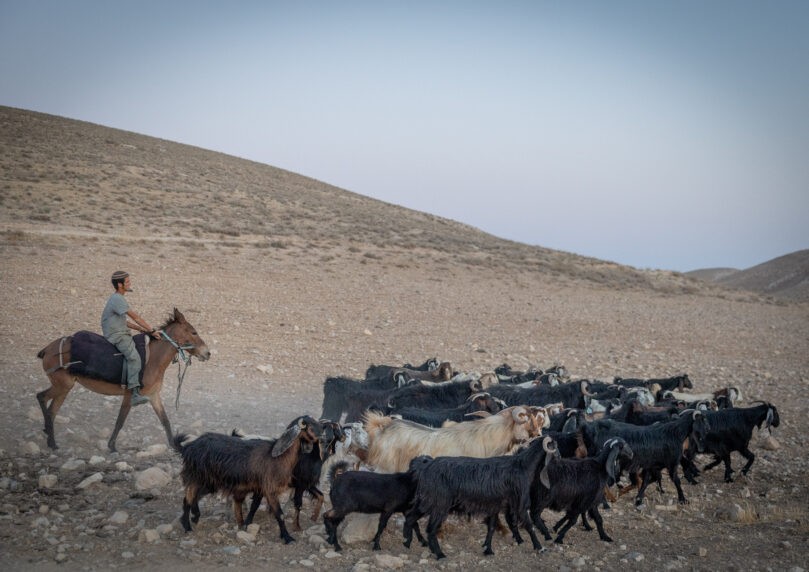 "הגיע זמן": בכנסת מעלים הילוך בקריאה להחלת ריבונות ביו"ש