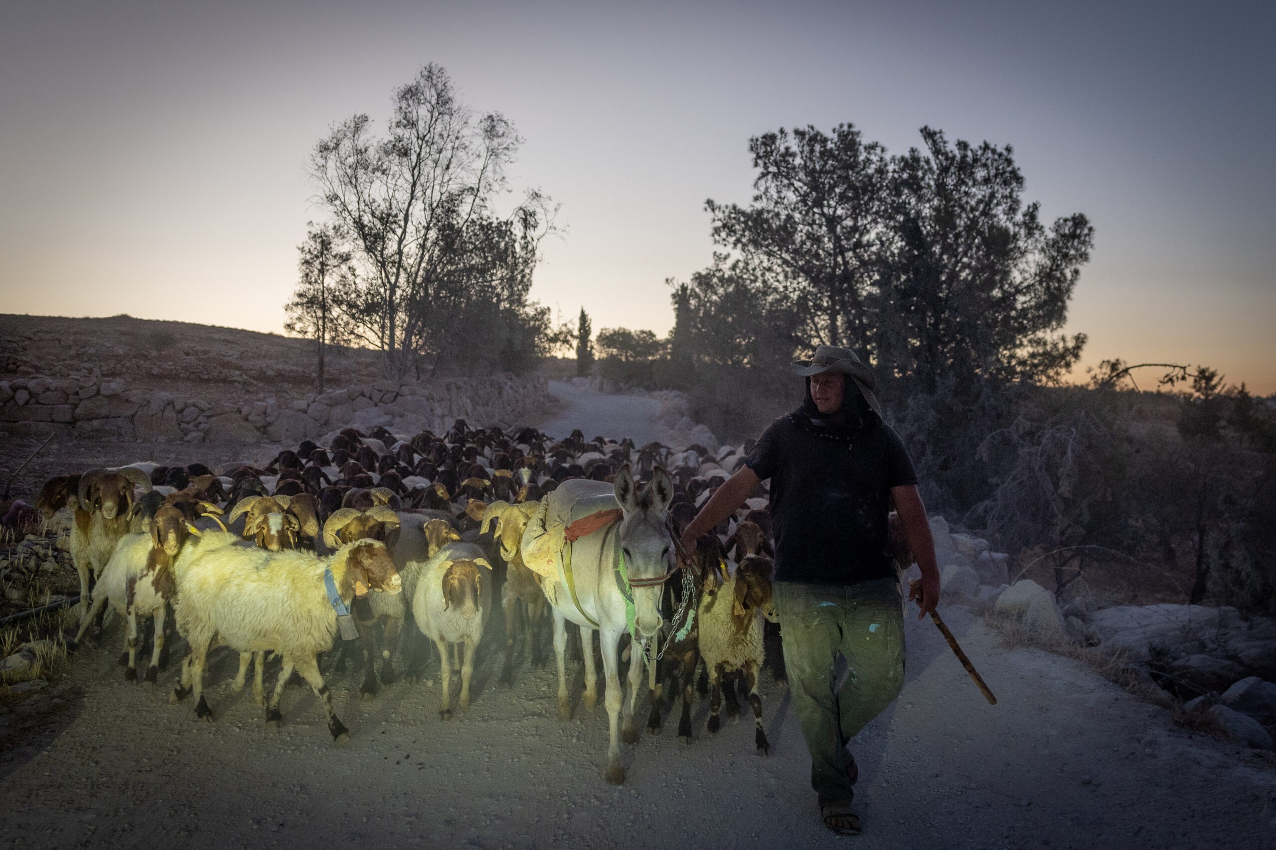 לקראת ריבונות: כך הפכה ישראל את האחיזה ביו"ש לעובדה מוגמרת