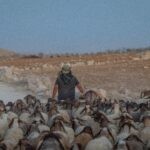 "הם לא גרים פה": ראש מועצת יש"ע נגד נערי גבעות במרכז הליכוד
