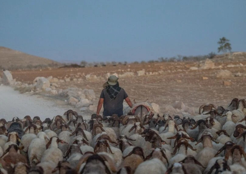 ארגון שמאל ישראלי מקדם חקיקה אמריקאית נגד המתיישבים