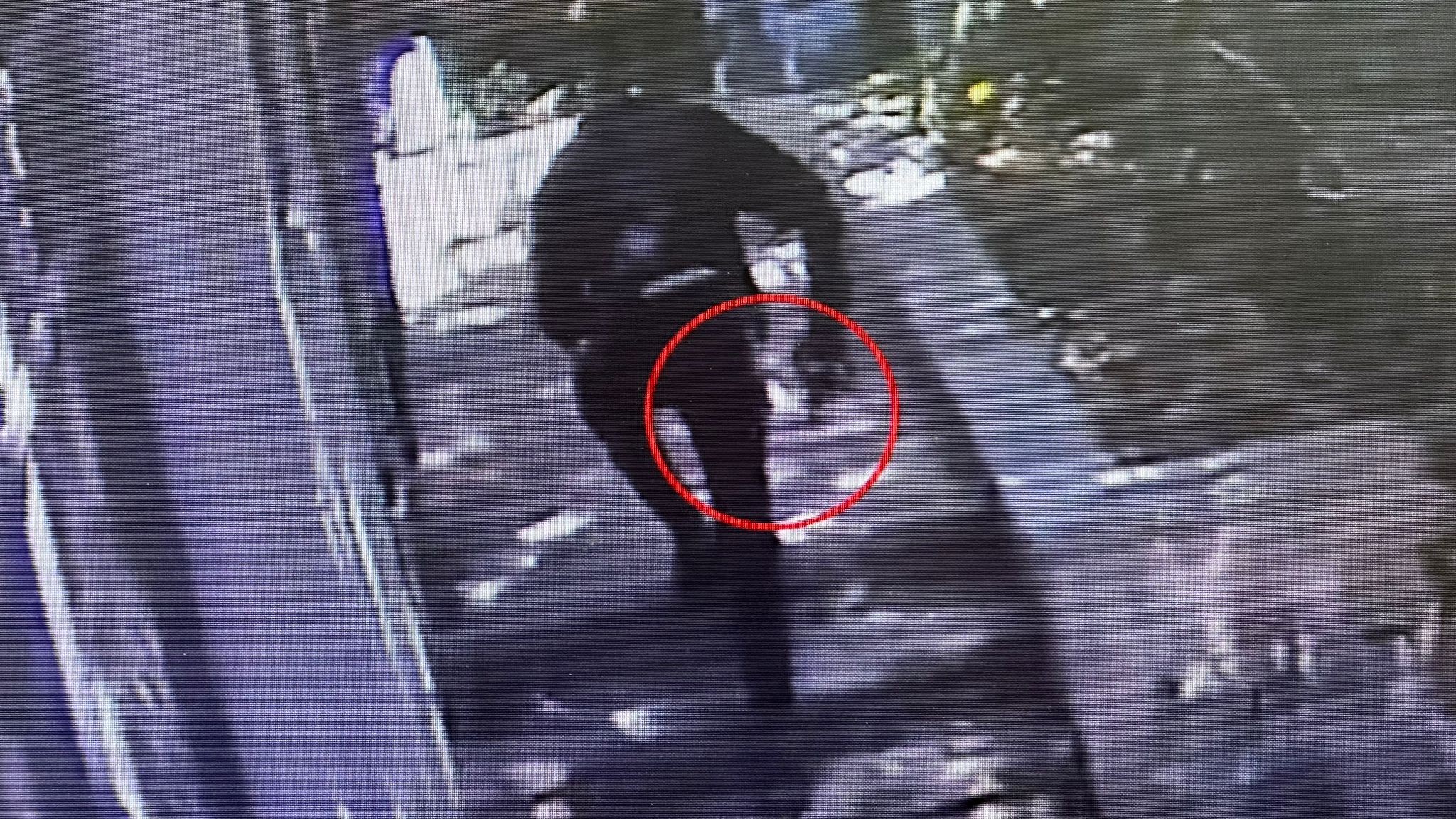 הכל נשאר במשפחה: זוג קשישים נדהמו כשגילו מי ניסה לשדוד אותם