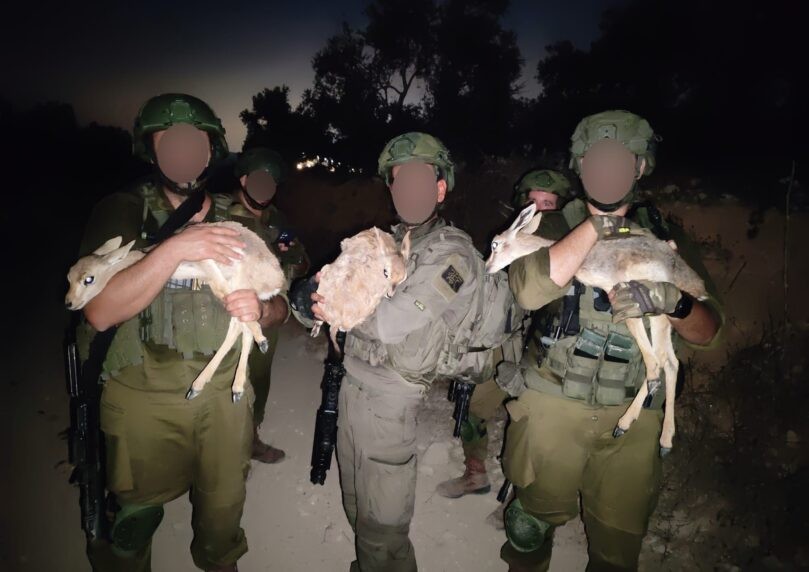 לב של לוחמים: במהלך פעילות - כוחותינו חילצו עופרים מכלוב
