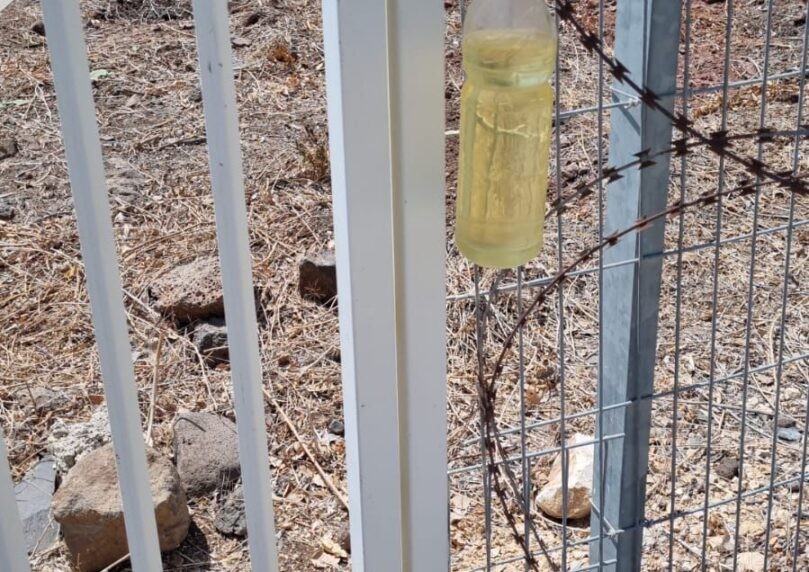 בקבוק עם חומר דליק נתלה בשער הכניסה למכון טיהור שפכים