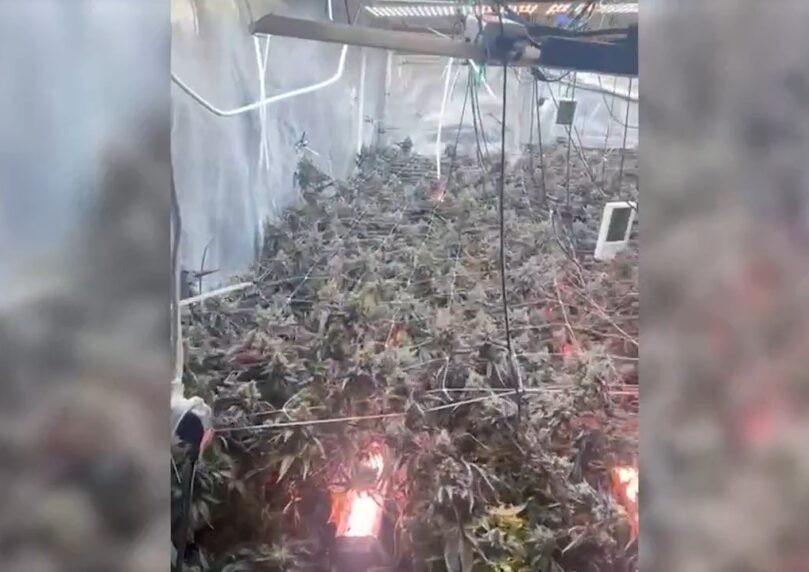 צפו בפשיטה המשטרתית: מעבדת סמים נחשפה בראשון לציון
