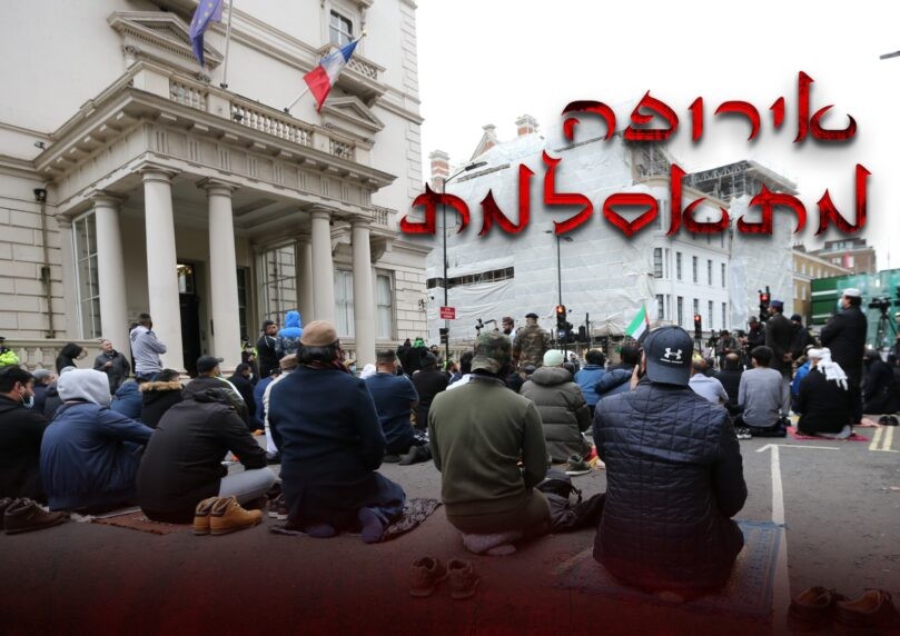 צילום: שאטרסטוק