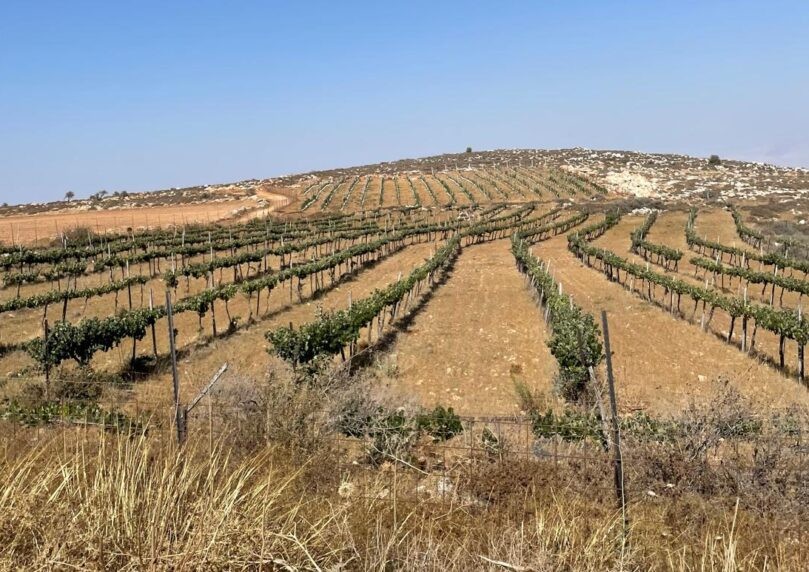 פרסום ראשון: נקודת התיישבות תקום עקב ההכרה במדינה פלשתינית