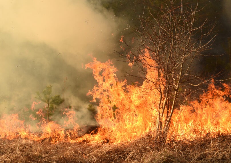 גל השריפות באירופה נמשך: אש משתוללת באזור מדריד