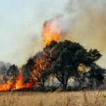 ברקע גל החום החריג: שריפות יער במספר מוקדים בדרום אירופה
