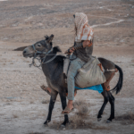 בשמש הקופחת: כך מתמודדים בהתיישבות עם השרב ללא מים וחשמל