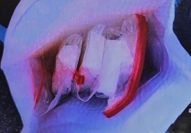 צילום: דוברות המשטרה