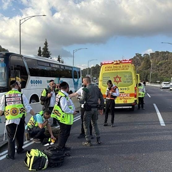 זירת התאונה | צילום: תיעוד מבצעי מד"א
