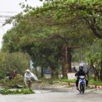 וייטנאם: טייפון הכה במדינה, גבה 13 קורבנות והותיר הרס רב