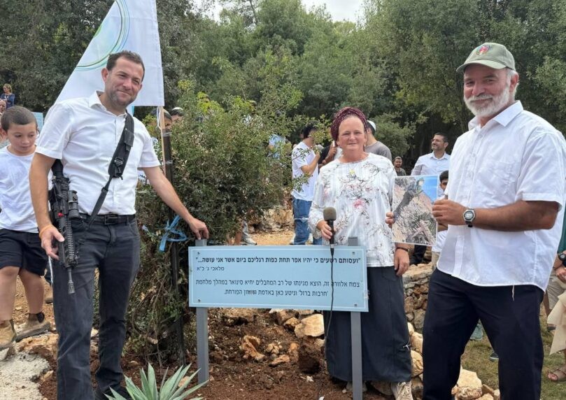 הצמח מגינת סינוואר ננטע בשומרון לזכר הקצין: "סמל הניצחון"