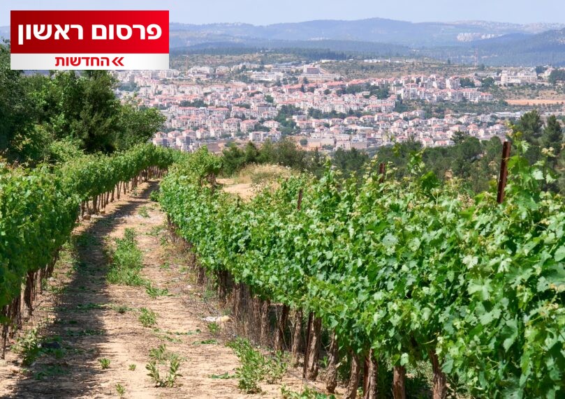 אושרה תוכנית בנייה תקדימית של 1,300 יחדות דיור בגוש עציון