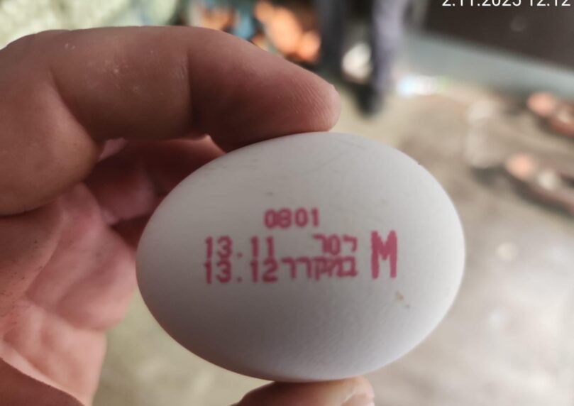 לפני שהפכו לארוחת בוקר: סוכלה הברחה של 92 אלף ביצים מהרש"פ