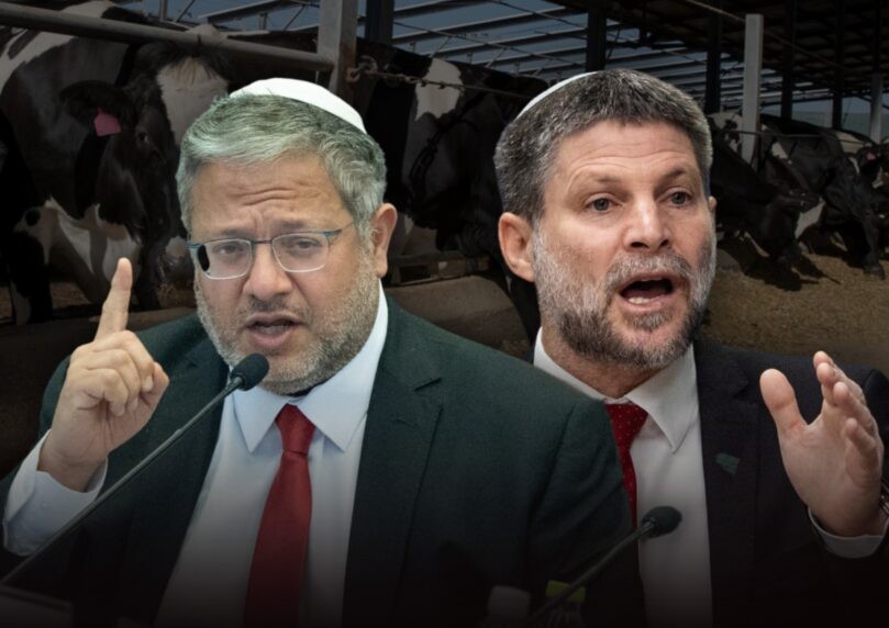 בן גביר לסמוטריץ' על רפורמת החלב: "אתה עוד תעזור לטורקיה"
