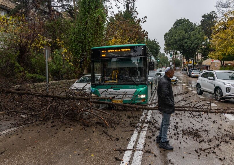 רכבים נלכדו בהצפות, עצים קרסו - גבר נפצע קשה בתל אביב