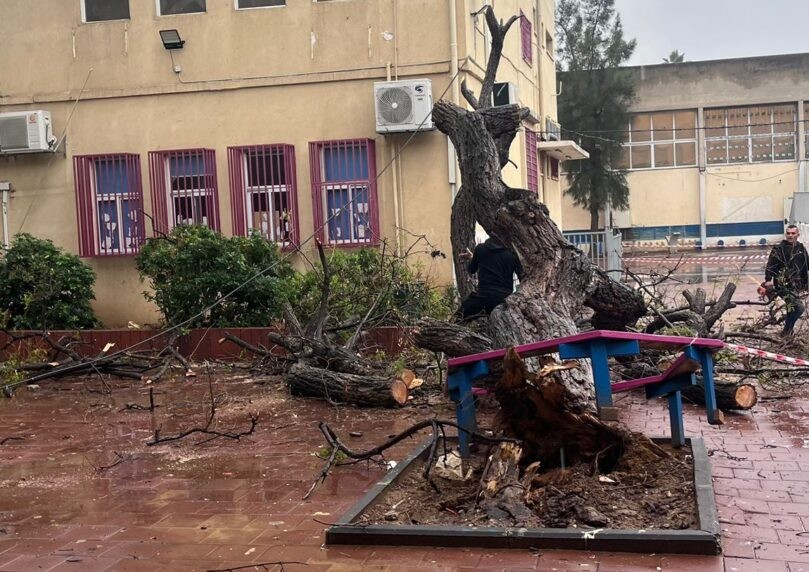 נזקי מזג האוויר: עץ קרס בחצר בית ספר, שתי תלמידות נפצעו