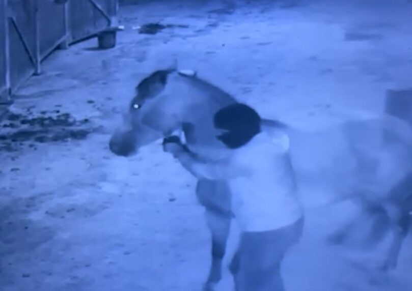 צילום: ללא