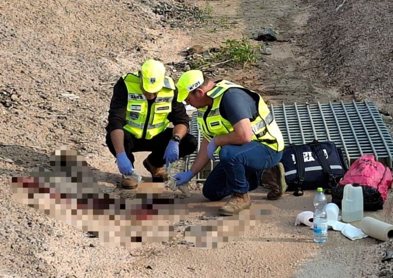 ביקורת בימין, זעזוע בשמאל: התגובות לפיגוע הרצחני בצפון
