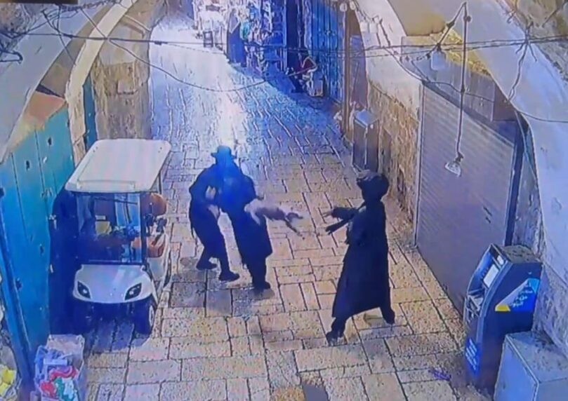 מזעזע: צעיר התעלל בחתול - והשליך אותו על עוברי אורח
