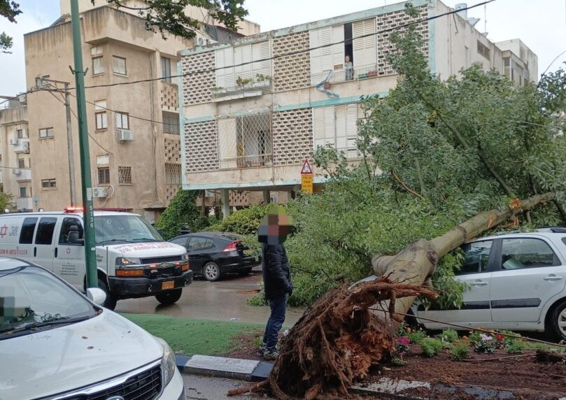 מזג האוויר הסוער: עץ קרס על רכב בהרצליה - בנס אין נפגעים