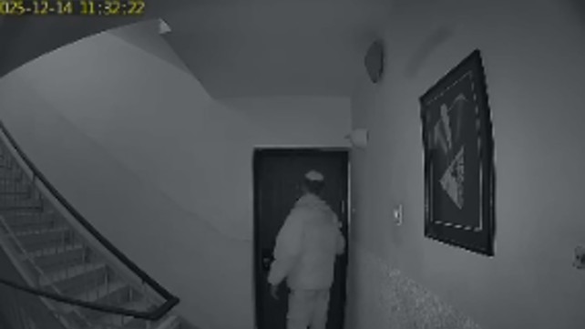 נשלל הקשר להיעלמות היימנוט: החשוד יואשם במעשה מגונה בחברתה