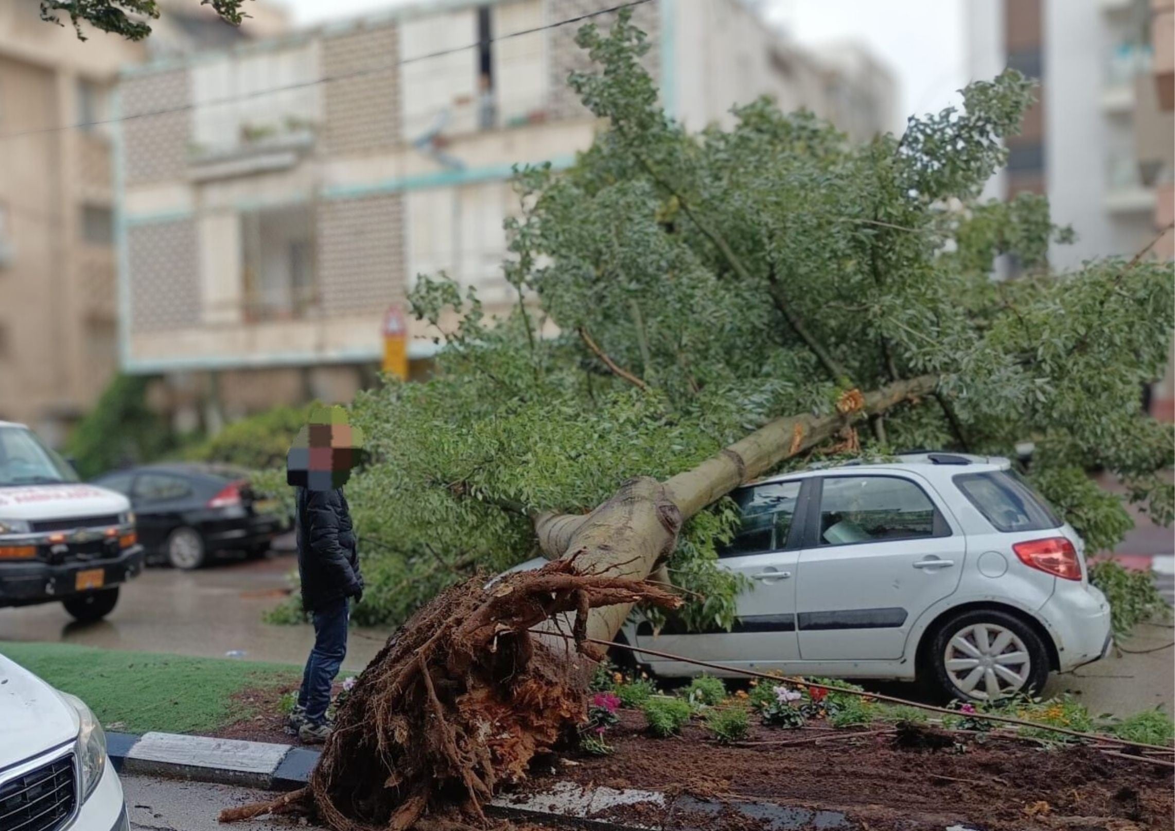 רכבים נלכדו בהצפות, עצים קרסו - גבר נפצע קשה בתל אביב