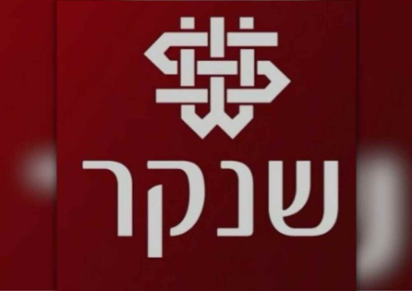 מיצג 'אומנות' מחליא בשנקר: דגל ישראל עוצב על איבר מין
