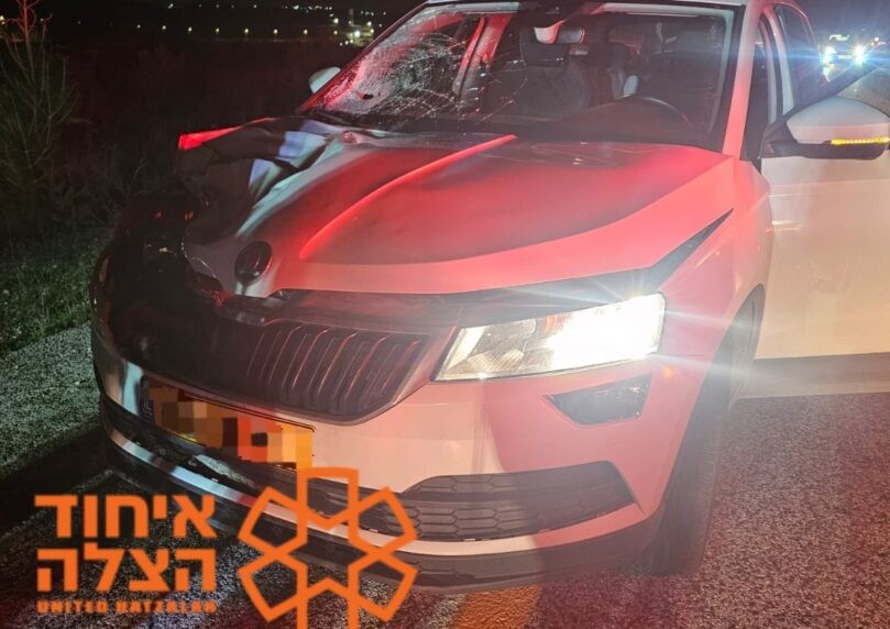 צילום: איחוד הצלה