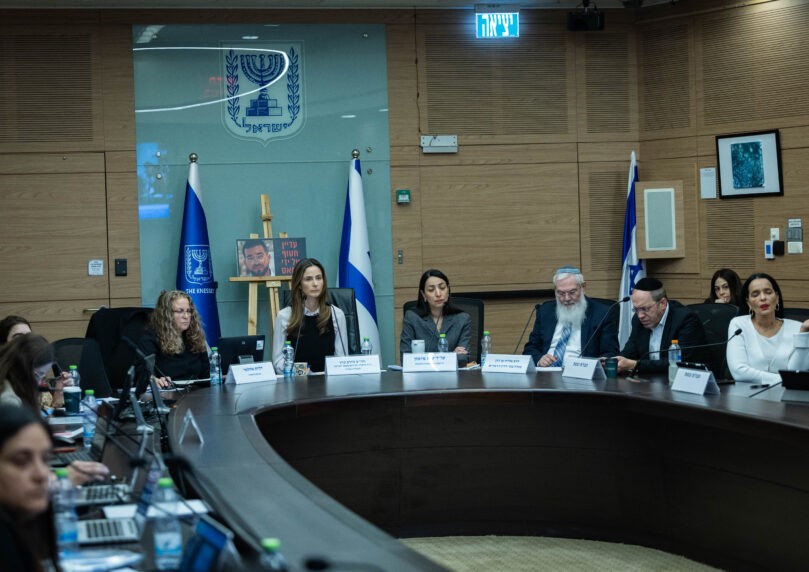 זעקת נפגעות האלימות בכנסת: "עד שלא יהיה רצח זה לא ייפתר?"