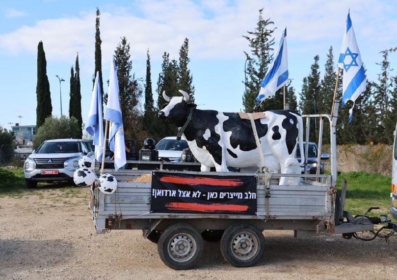 לקראת הדיון בכנסת: מחאת הרפתנים עולה שלב