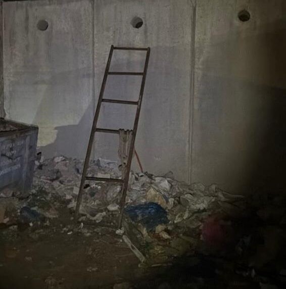 סכנת השב"חים: חולייה שחצתה את הגדר נעצרה במרכז הארץ