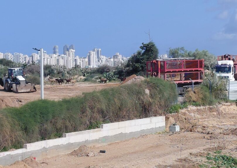 האישור שקיבלו בדואים בדרום ועלול לסכן את תושבי היישוב ניצן
