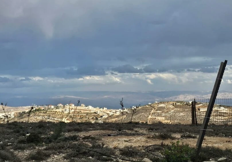 צילום: נעמי רחליס