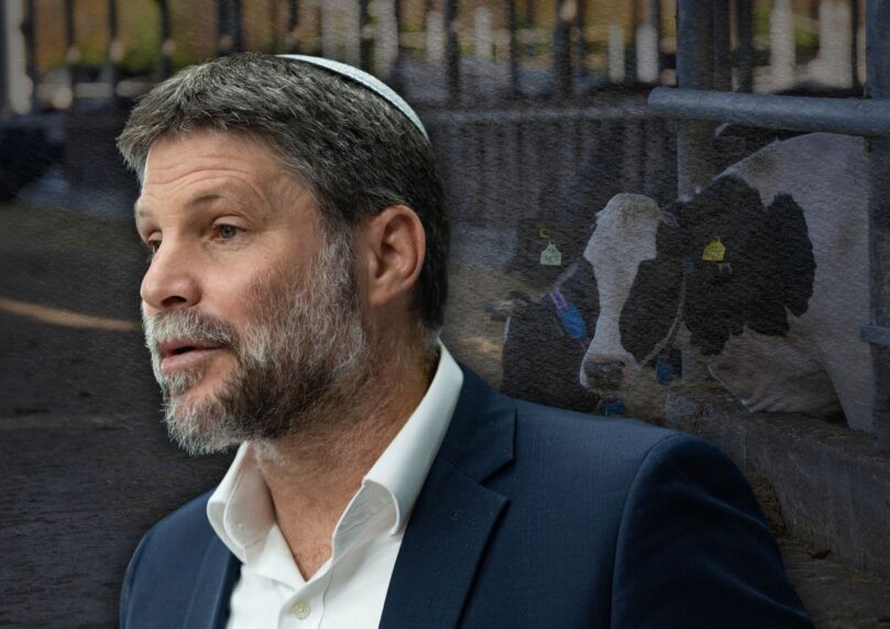 היועמ"שית לכנסת תוקפת: פגמים מהותיים בקידום רפורמת החלב