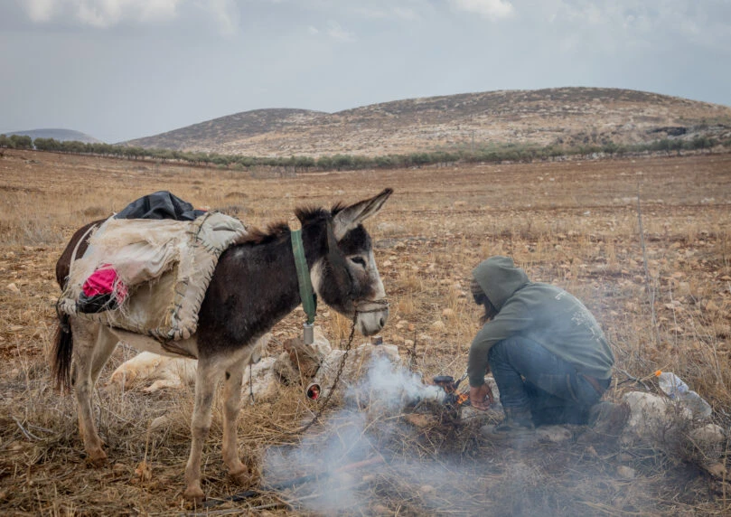המהפכה השקטה: דור החלוצים שמבין את מה שהקבינט מסרב להפנים