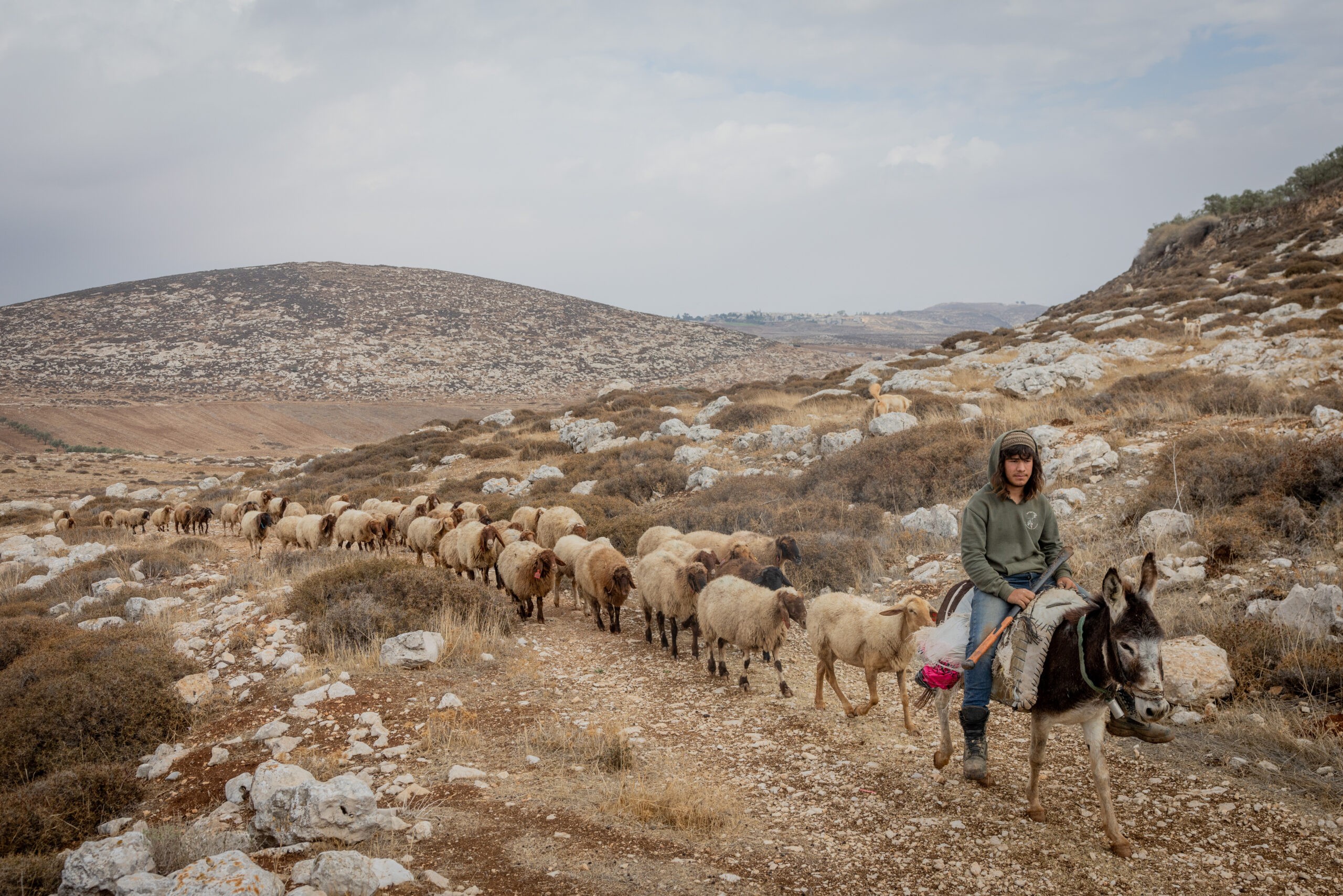 What the Media Won't Show You About 'Violent Settlers'