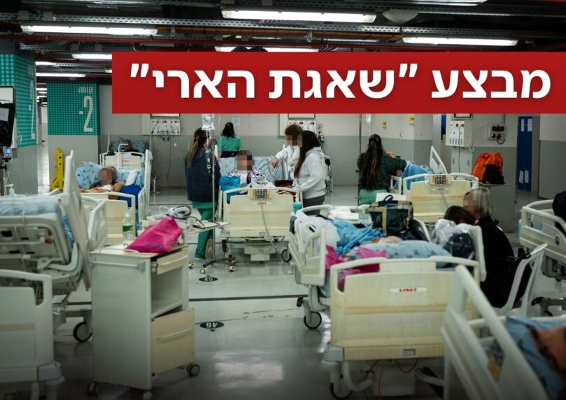 מבצע "שאגת הארי": זה מספר הפצועים בישראל עד כה