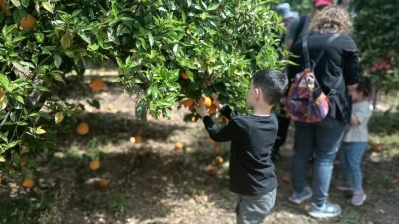 באדיבות המועצה לשימור אתרי המורשת בישראל