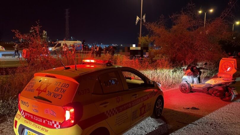 רצח כפול בלוד: שני גברים חוסלו ברכבם - הרקע פלילי