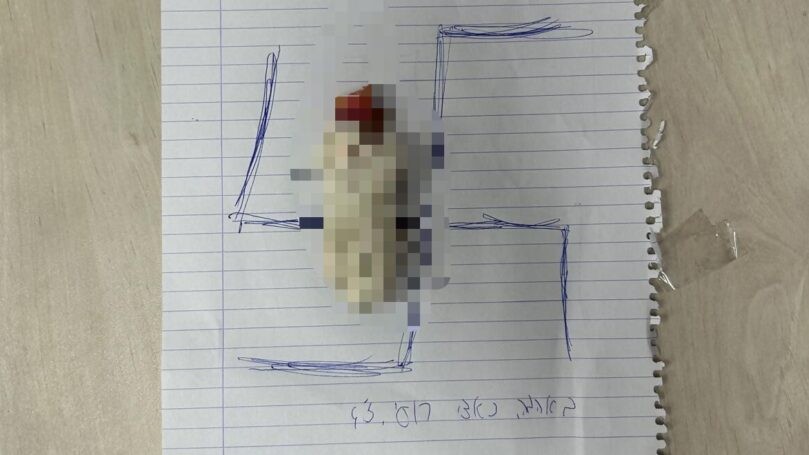 מחריד: נער הרג חתול והניח חלק ממנו על שולחן סגנית בית ספרו