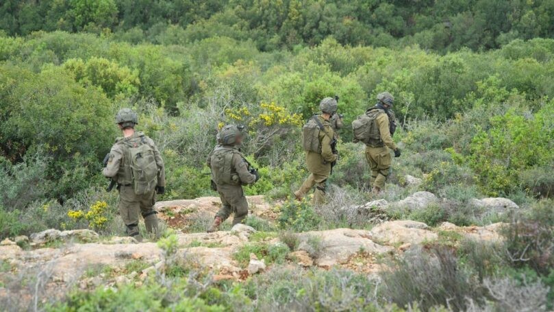 תיעוד: חוסלו 2 מחבלים שסיכנו את כוחותינו בלבנון