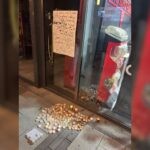 מגיש חדשות 14 חשף את הקשר לנרצח בפתח תקווה: "המשפחה מפורקת"