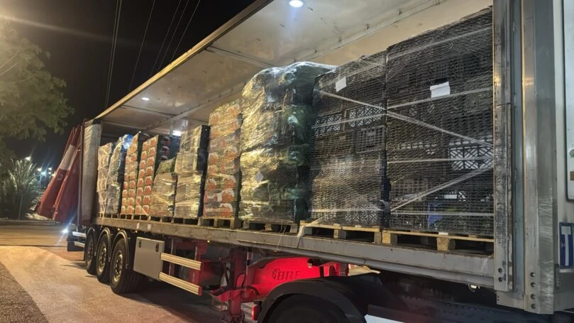 סוף למחדל: התוצרת הערבית המורעלת לא תיכנס לישראל