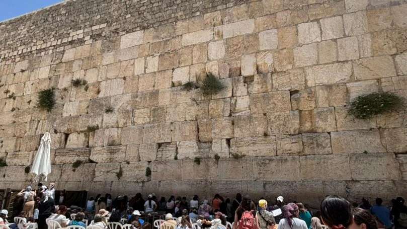 הכותל המערבי | צילום: C14