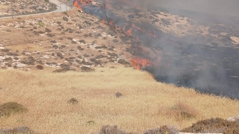 שריפה ענקית בבנימין: האש מאיימת על נווה ארז