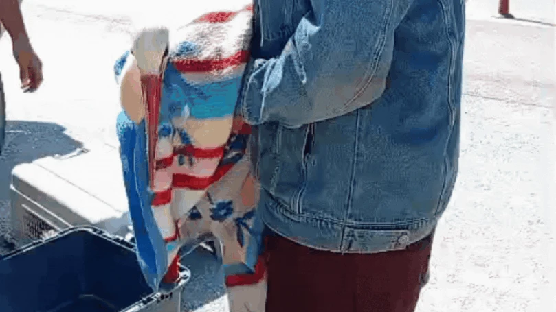 חסידה נפגעה בגלל מזבלה פיראטית וניצלה בזכות רועי הצאן ביו"ש