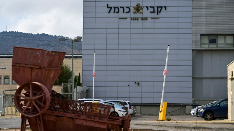 יקבי כרמל קרדיט: פלאש 90